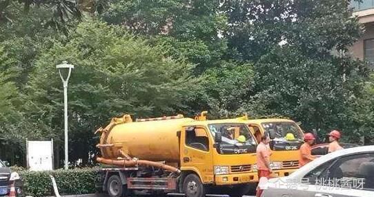 卫生间|许某某的反侦察能力：警犬在其作案的卫生间，都搜不到来女士的气味