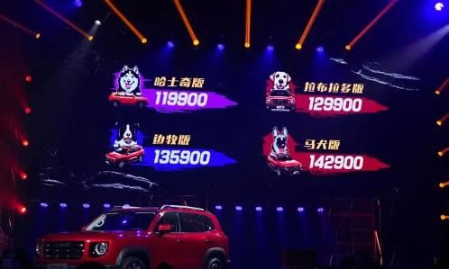 采用|能否成为下一辆爆款车？哈弗大狗起售11.99万元