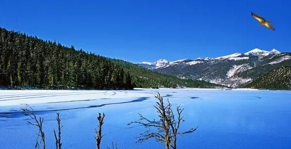  导价的A级|请收下，这是一份很长很全很美的暑期游云南攻略