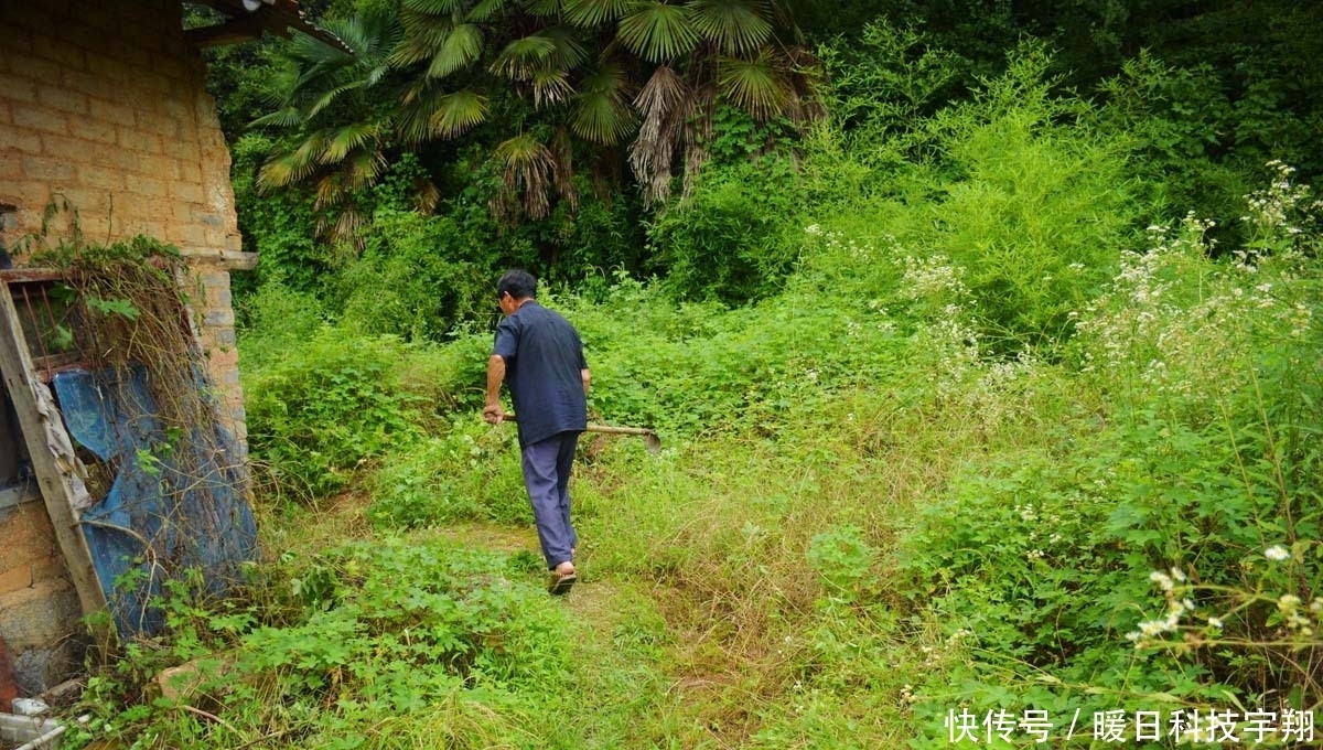 为啥|70岁大爷住山村瓦屋，邻居都已搬走，看他为啥不愿离开
