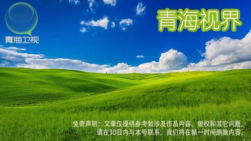 老板|女子相亲碰到“大老板”,第一次见面就送奥迪车?最后倒贴9万3