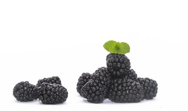  酸甜|在炎热的三伏天里，吃点自制的桑葚果酱，酸甜可口又能提高食欲