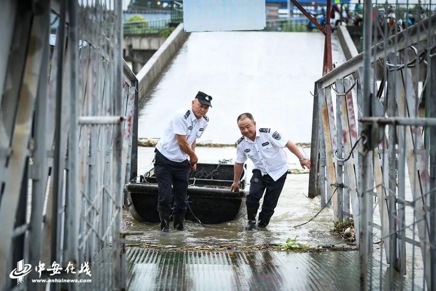  安庆江豚协助巡护队|长江禁捕退捕在行动 守护“长江的微笑”