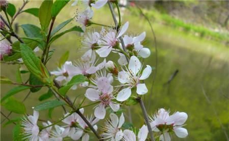  钱财|恭喜，生日是农历这六天的人，一生大吉大利，百事顺利，钱财多多