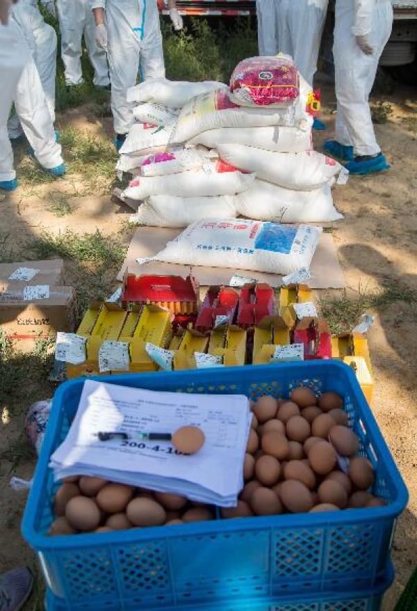 措施|甘区五大措施抗疫情，5000余人检测团队完成150万人核酸检测采样