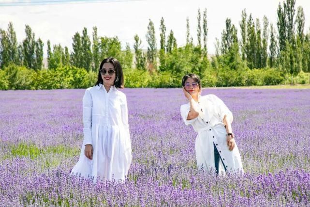 香格里拉|12个中国最美的远方!挑一个出发吧!