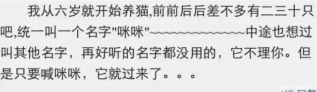 取名字|给猫狗取名字这么大的事,当然要敷衍了事啊!