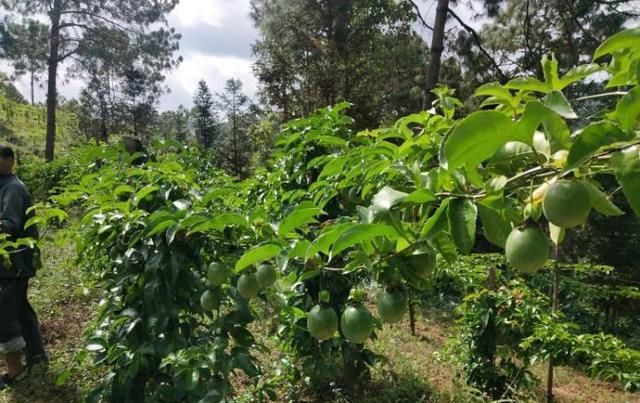 满满|爱心满满!静安助力,沪滇携手共奔小康