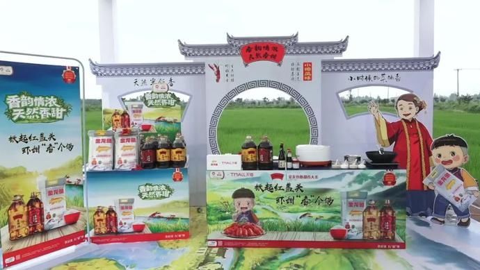  鱼虾|云赏金龙鱼虾田稻，共忆香韵外婆情