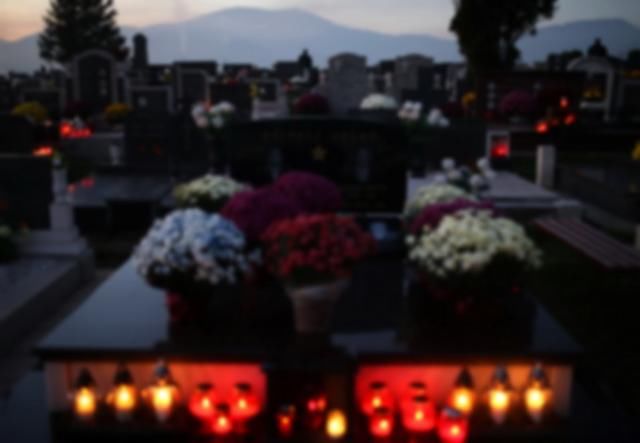  野狗|代驾小哥心态崩了！凌晨接单迷路被野狗追上山，开闪光灯才发现身处墓地