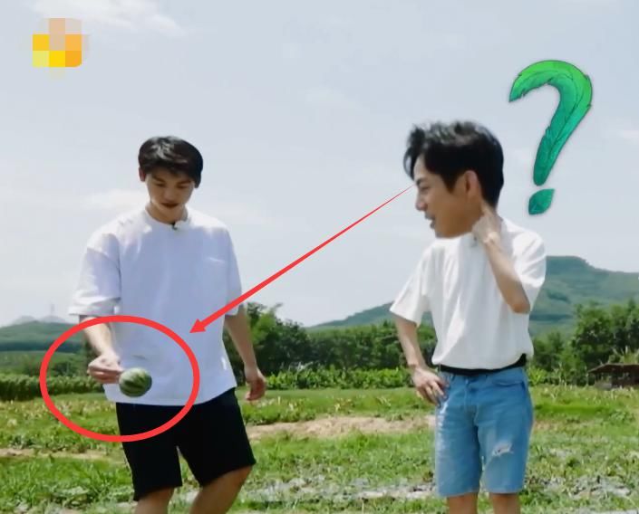  西瓜|许光汉也卖白痴人设了？摘掉未熟西瓜，何老师表情有内涵