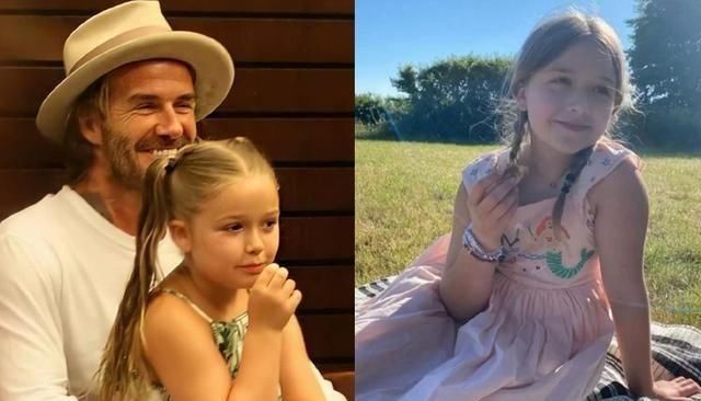  疼爱|小七又胖了，肚子鼓起太可爱小贝快抱不动了，多一个嫂子疼爱