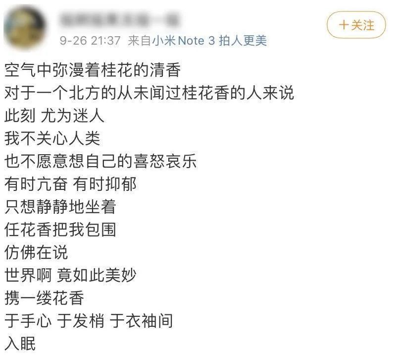 真的|我们北方人一点也不羡慕南方的桂花，真的！