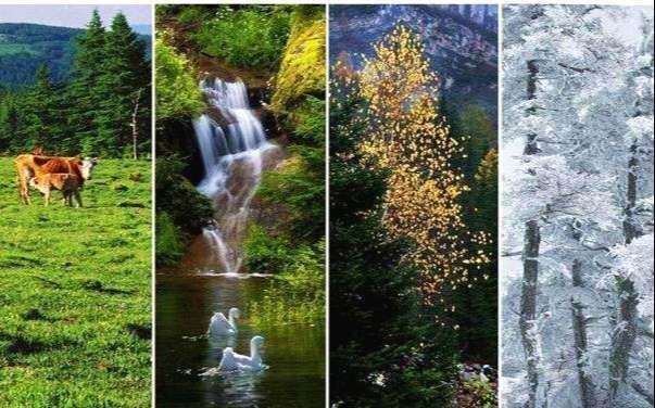 古人|古人总是选择在秋后问斩,这其中有什么讲究吗?