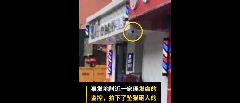  玻璃|高空坠猫砸晕老人后续: 提供监控的理发店玻璃被砸, 猫主人拒绝15万赔偿