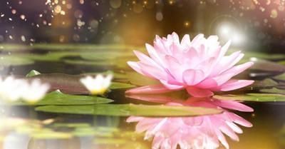 富贵|农历这几天出生的人,天生富贵享福命,令人羡慕