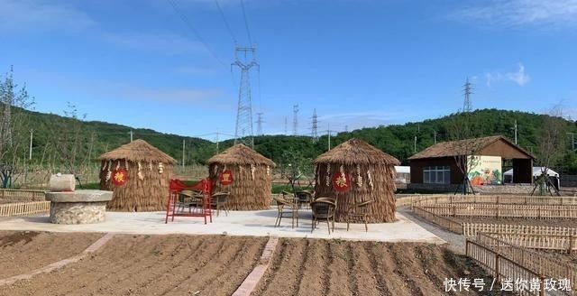  休闲娱乐|老年人休闲游乐，请走进一亩芳华康养小镇