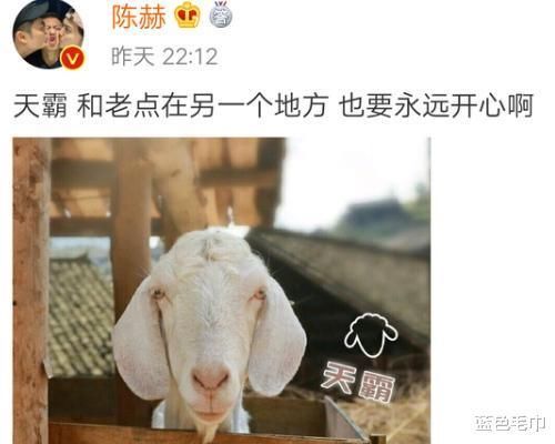  嘉宾|陈赫凭啥能当《向往4》收官嘉宾？原来他为节目牺牲了这么多