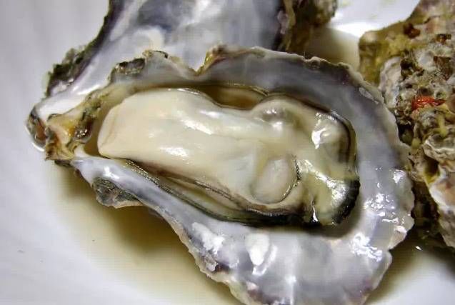 今日|今日开海!这84种海鲜,你都认识吗?你真的会吃海鲜吗?