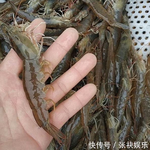  热水|煮虾，冷水煮还是热水煮这1步做错，难怪虾肉又老又腥，不入味