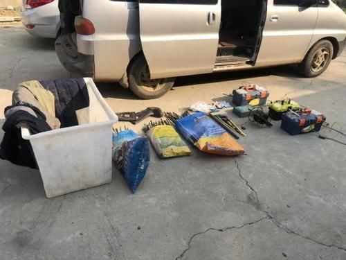 许某某|非法猎捕23只獐子!判刑+赔偿野生动物资源损失