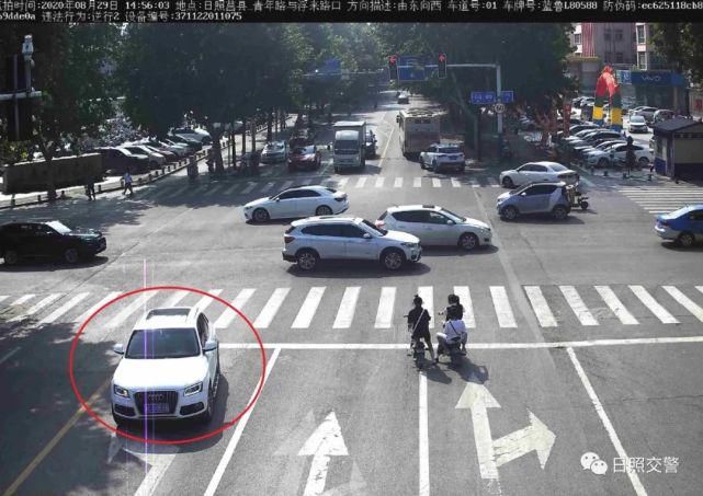 曝光|日照这些行人和车辆被曝光！看看都有谁？