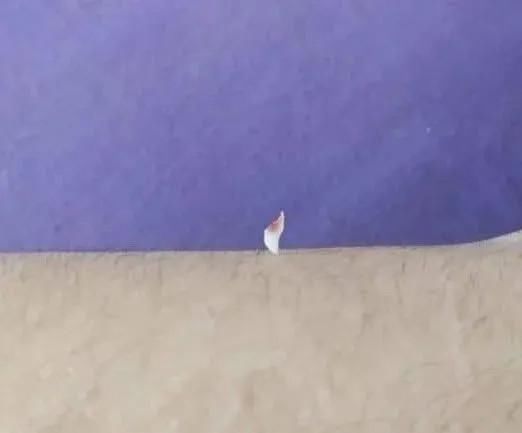 游戏|“男票从医院出来表情痛苦，女生为啥那么高兴？”哈哈哈哈评论区看得通透