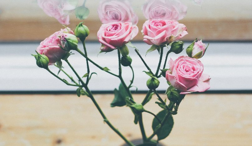 金牛|天秤座: 能让你开心无忧的5个星座, 让人开心、乐观的星座