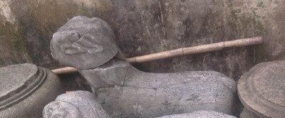  蜀国|秦资其富，用兼天下：寻找古蜀国的农业文化和文明之光