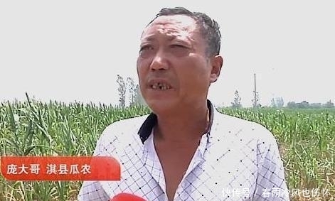 倒赔|西瓜被偷却倒赔小偷300元，瓜农哭诉：偷吧，以后再也不敢阻拦了