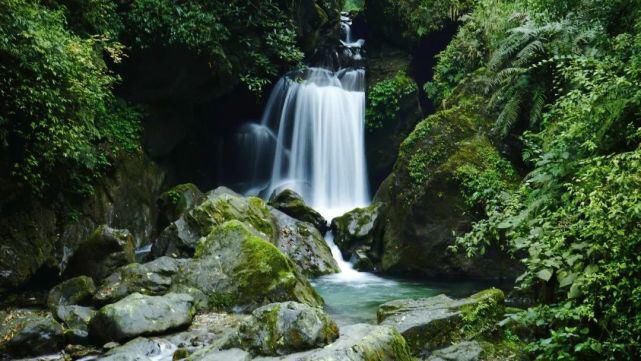  去一趟|避暑王者峨眉山，是时候去一趟了！
