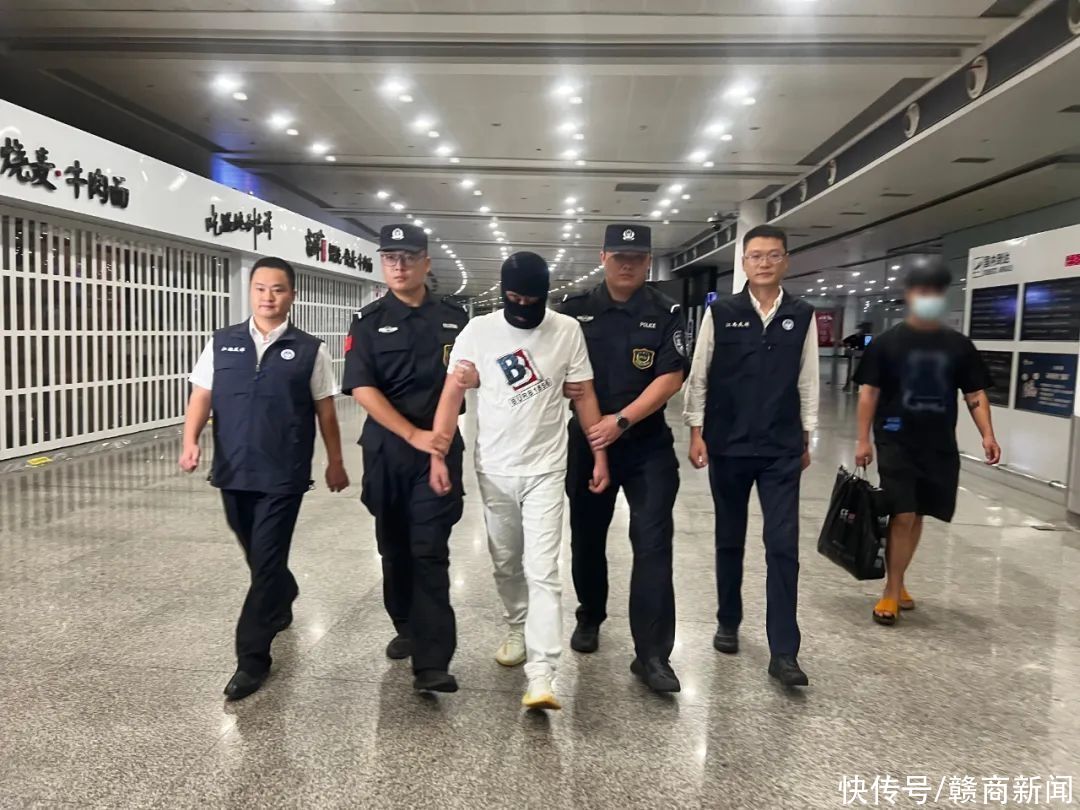 柬埔寨电诈嫌疑人(柬埔寨被抓电诈人员)