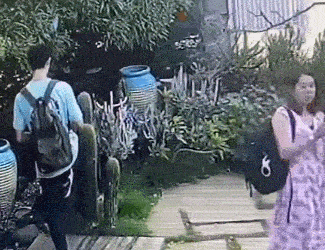 母子|“熊孩子”景区破坏仙人掌,母亲辩解称其年纪尚小,网友:巨婴?