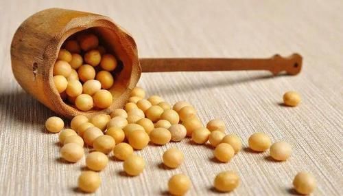  五谷杂粮|五谷杂粮的营养好，它营养丰富