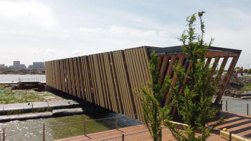 网红|【探索】滴水湖4座“网红”景观桥亮灯啦!快来先睹为快