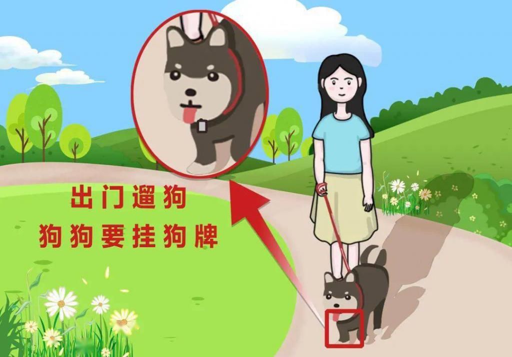 元以下罚款|我猜你闯不过第三关