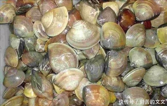 认出|海鲜大全, 你能认出多少