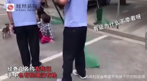 执法人员|女子遛狗不栓绳，狗被抓走后倒地嚎啕大哭我有绳