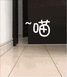 告诉|魔镜魔镜告诉我，我家猫为什么长5条腿？