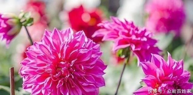 福气的人|福祸是有征兆的,对照一下,你是有福之人吗?