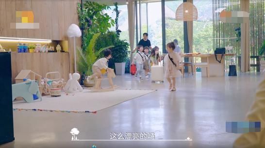  豪宅|郑爽新综艺被气哭？当看到综艺里的森林豪宅，我羡慕哭