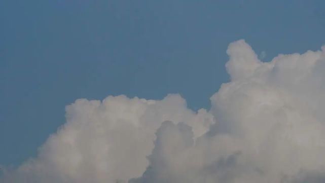 师大人|亲,好久不见