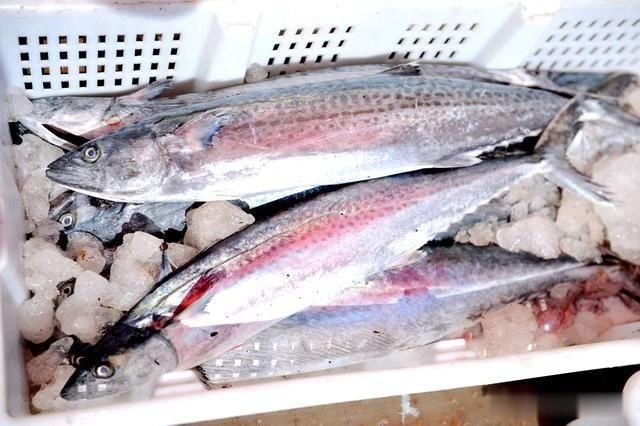 开海|开海后大渔船回来 海鲜堆满码头 价格比禁渔期便宜不少