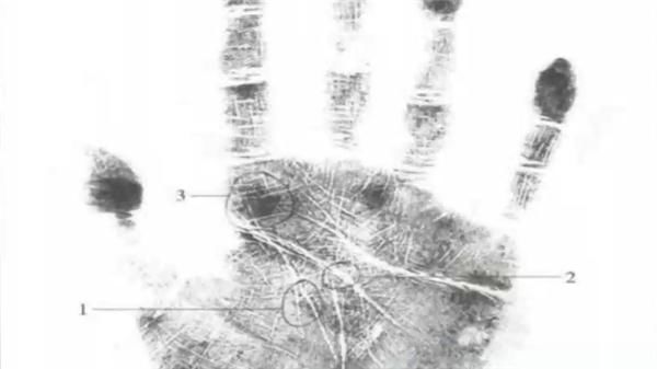 潜逃|杀人抢劫潜逃22年 民警在狱中找到了他们