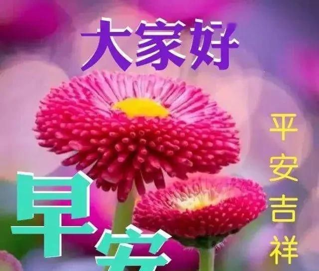 理解|人与人之间,真诚就好;不彼此埋怨,理解就好;不时刻不离,有你就好