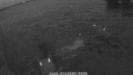  电话|“无论我老婆和谁在一起，我都爱她…” 男子三次跳河：真的累了！