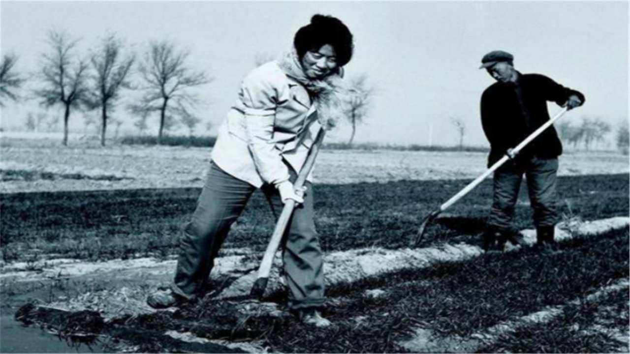 山东|26年前山东农妇捡到钻石卖了27万，被告上法庭，后来怎样了？