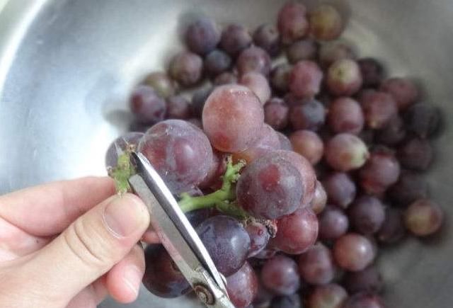 保健|葡萄火热上市,此时吃最好,学会一招,让葡萄的保健功效发挥最大
