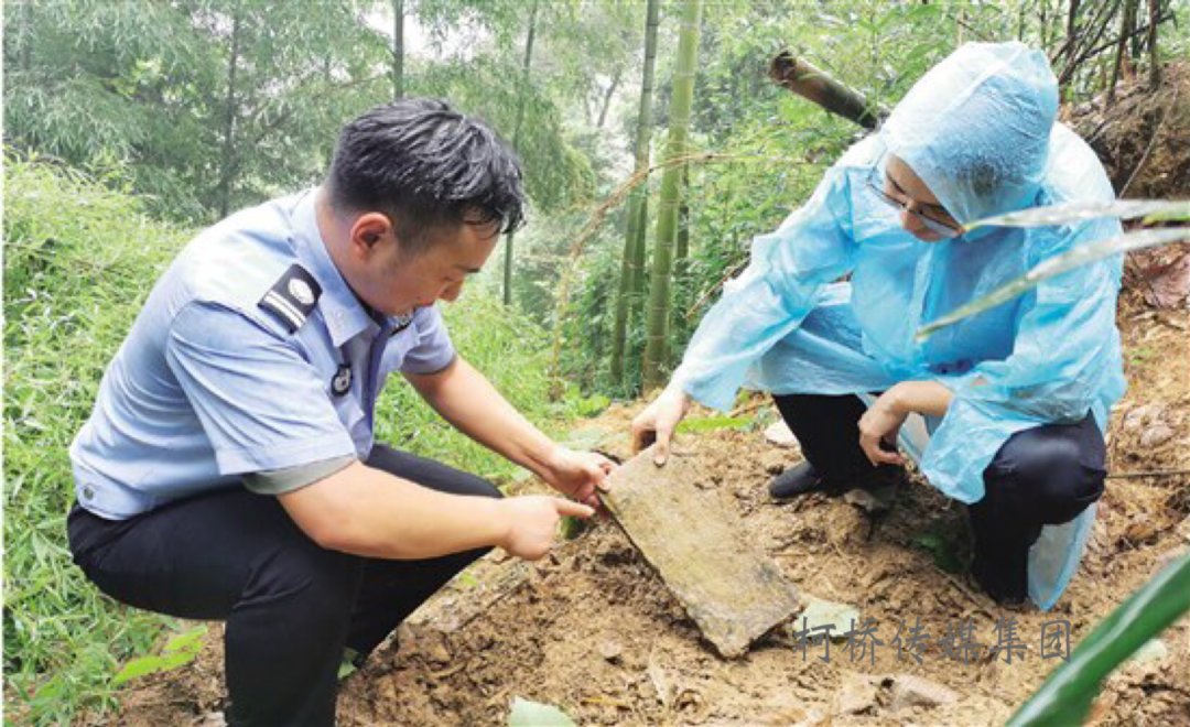 该团伙盗|浙江绍兴查获特大盗墓团伙：偷万余块墓砖制成砚台出售