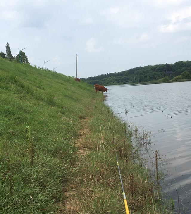 足以|竿梢常指水,足以慰风尘